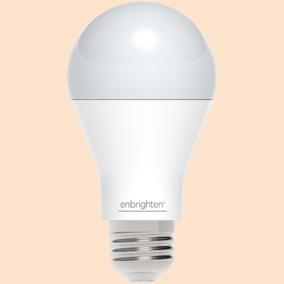 Boise smart light bulb