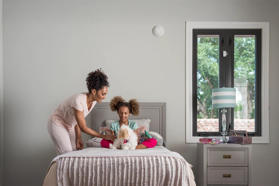 smoke & carbon detector Boise